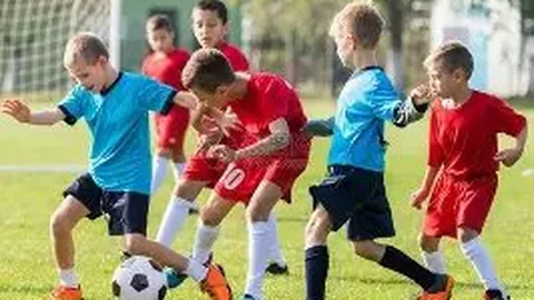 开云平台官方网国际米兰赞助商 产品 111357 ujf