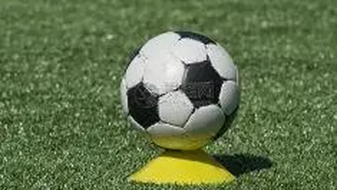 开云平台官方网国际米兰赞助商 产品 092759 628